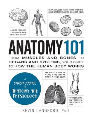 Anatomy 101: From Muscles and Bones to Organs and Systems, Your Guide to How the Human Body Works - eBook  -     By: Kevin Langforterrd
