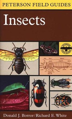 Peterson Field Guide to Insects   -     Edited By: Roger Tory Peterson
    By: Richard E. White, Donald J. Borror
    Illustrated By: Richard E. White
