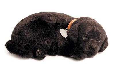 Breathing Pet, Black Lab Dog   - 