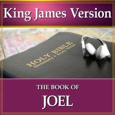 joel bible