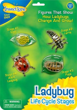 Ladybug Life Cycle Stages Figurines 