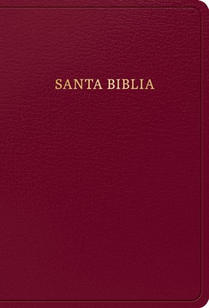 RVR 1960 Biblia Letra Grande Tam. Manual, Borgona, Imit. Piel (Hand ...