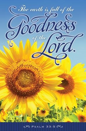 The Goodness of the Lord (Psalm 33:5) Bulletins, 100 - Christianbook.com