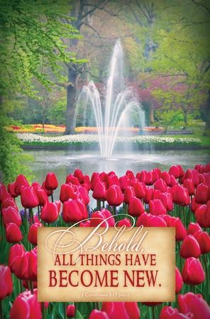 All Things Are New (2 Corinthians 5:17, NKJV) Bulletins, 100