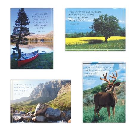 Mountain Scenic Birthday for Him Cards, Box of 12 - Christianbook.com