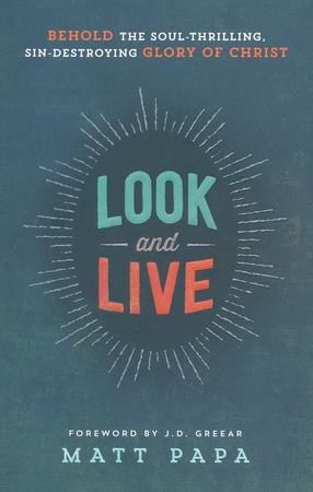 Look and Live: Behold the Soul-Thrilling, Sin-Destroying Glory of ...