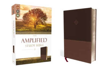 Amplified Study Bible, Large Print, Imitation Leather, Brown ...