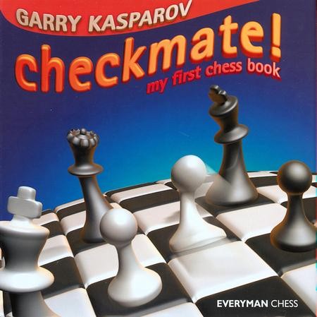 kasparov chess airplane