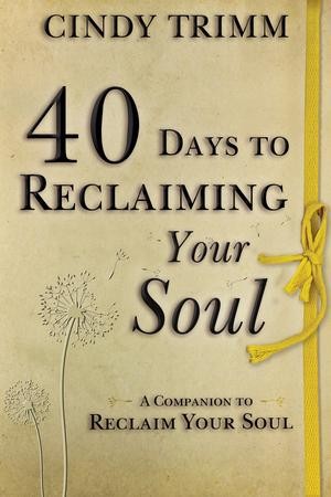 40 Days to Reclaiming Your Soul: A Companion to Reclaim Your Soul - eBook:  Cindy Trimm: 9780768404708 - Christianbook.com