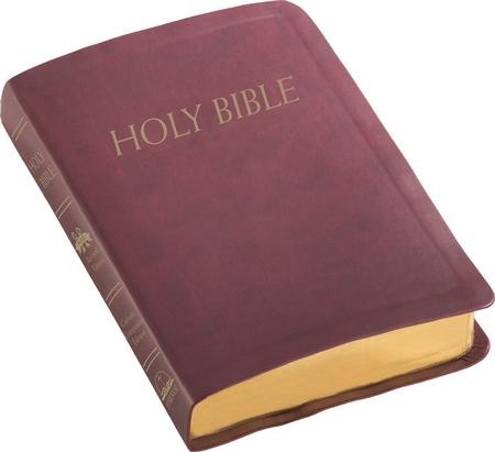 NABRE Catholic Companion Bible, Burgundy Imitation Leather ...