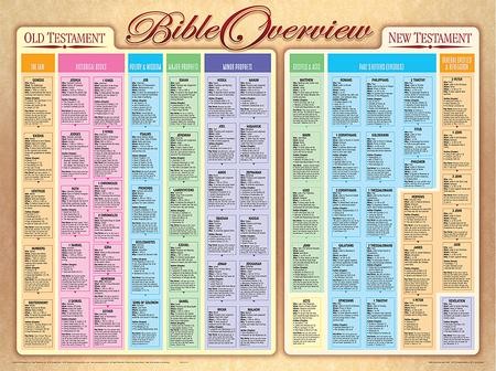 Genealogy of Jesus Laminated Wall Chart