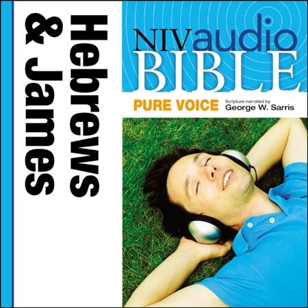 Niv audio bible free download mp3
