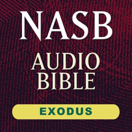 nasb audio bible online