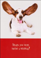 Paws for Celebration Birthday Cards, Box of 12