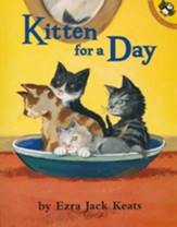 Kitten For A Day