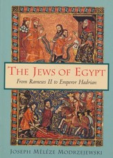 The Jews of Egypt: From Rameses II to Emperor Hadrian