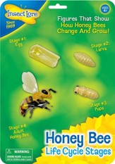 Bee Life Cycle Stages Figurines
