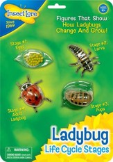 Ladybug Life Cycle Stages Figurines