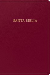 RVR 1960 Biblia letra grande tam. manual, borgona, imit. piel (Hand Size Giant Print Bible, Burgandy)