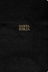 RVR 1960 Biblia letra gigante, negro, piel fabricada (Giant Print Bible, Black)