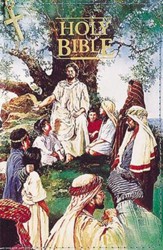 KJV Seaside Bible, Hardcover with zipper