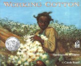 Working Cotton, Softcover