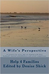 A Wife's Perspective: A Resource for Wives Who Are Dealing with Their Husband's Marital