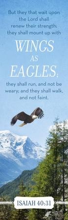 Wings As Eagles (Isaiah 40:31, KJV) Bookmarks, 25