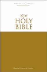 KJV Economy Bible, Tradepaper
