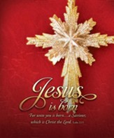 Jesus is Born (Luke 2:11, KJV) Large Bulletins, 100