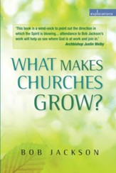 What is Making Churches Grow?: Vision and practice in effective mission