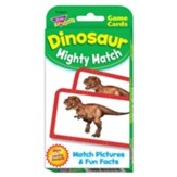 Dinosaur Mighty Match Challenge Cards