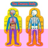 Bb Set Child-Size Human Body 2 Figures 50T