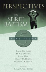 Perspectives on Spirit Baptism - eBook