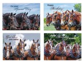 Horsepower Birthday Cards, Box of 12