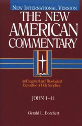 John 1-11: New American Commentary [NAC]