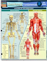 Anatomy Fundamentals: Life Science, Laminated Guide