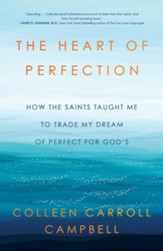 The Heart of Perfection: How the Saints Taught Me to Trade My Dream of Perfection for God