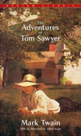 The Adventures of Tom Sawyer, Vol. 1