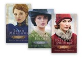 Courage to Dream Series, Volumes 1-3