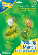 Praying Mantis Life Cycle Stages  Figurines