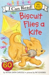 Biscuit Flies a Kite