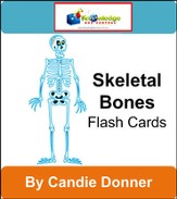 Skeletal Bones Flash Cards - PDF Download [Download]