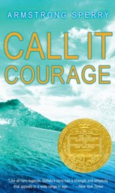 Call It Courage - eBook