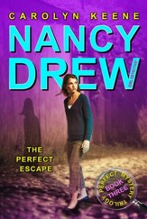 The Perfect Escape: Book Three in the Perfect Mystery Trilogy - eBook