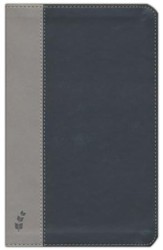 ERV Duotone Bible, Black/Grey