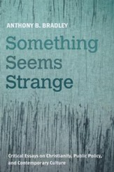 Something Seems Strange: Critical Essays on Christianity, Public Policy, and Contemporary Culture