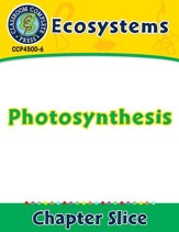 Ecosystems: Photosynthesis - PDF  Download [Download]