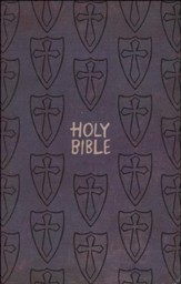 ICB Gift & Award Bible, Boys' Edition