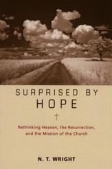 Surprised by Hope, Participant's Guide